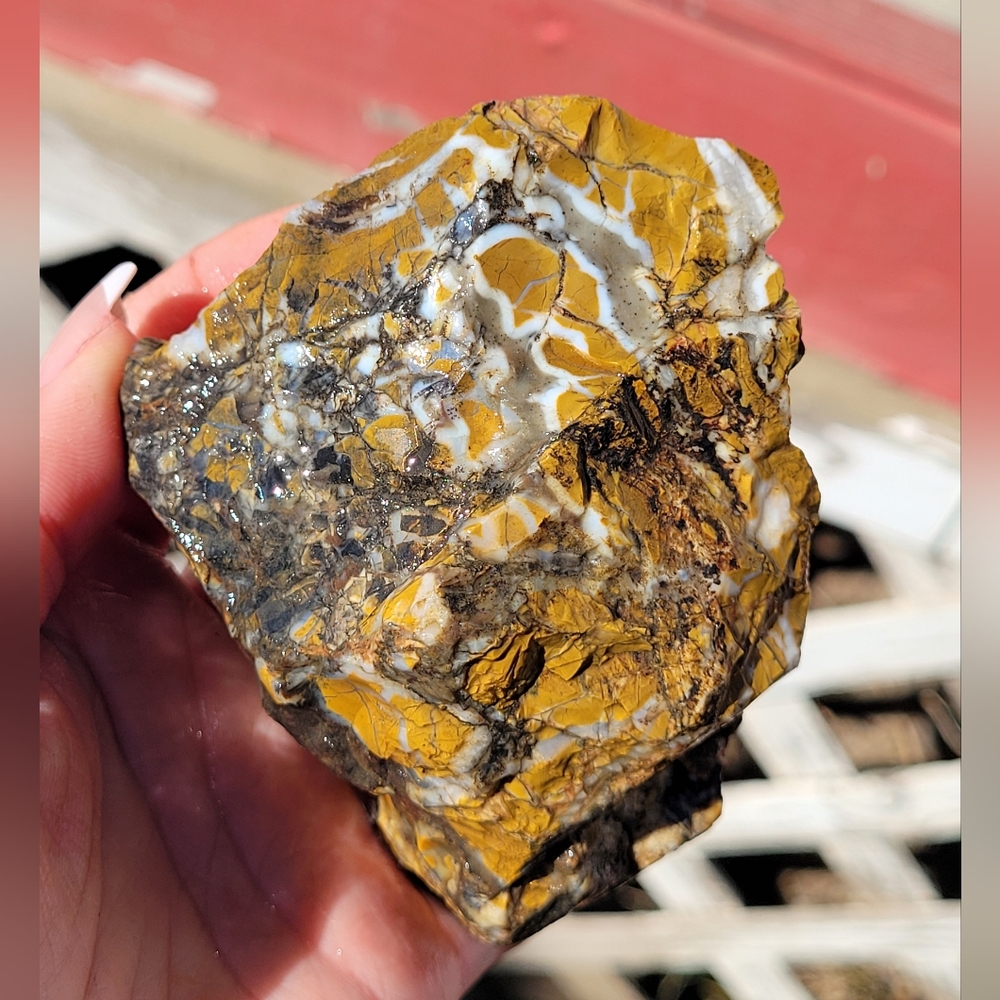 Natural Rare Stone Canyon Yellow & White Jasper Stone